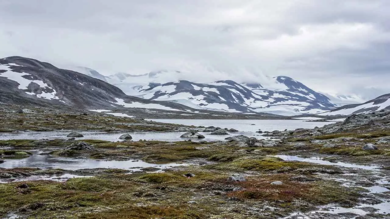 Climate of the Tundra